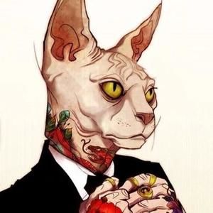 Meet your Posher, Tom